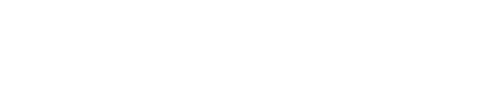 Fenbushi Capital