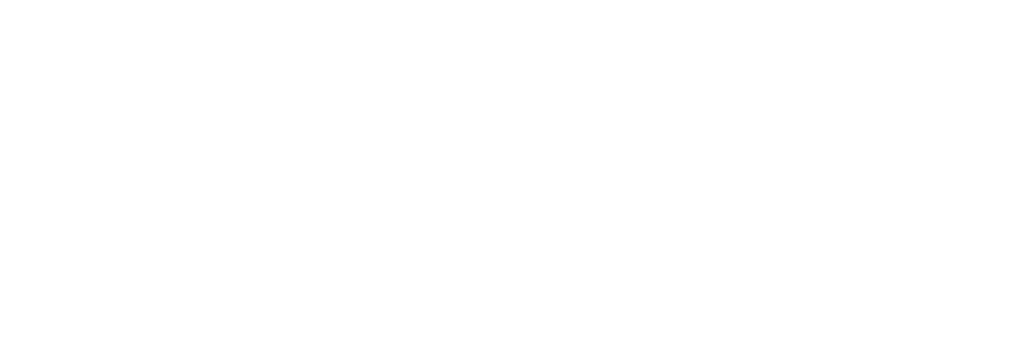 New Web Group