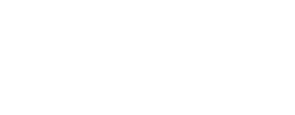 Vira Ventures